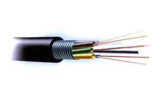 光纤同轴电缆